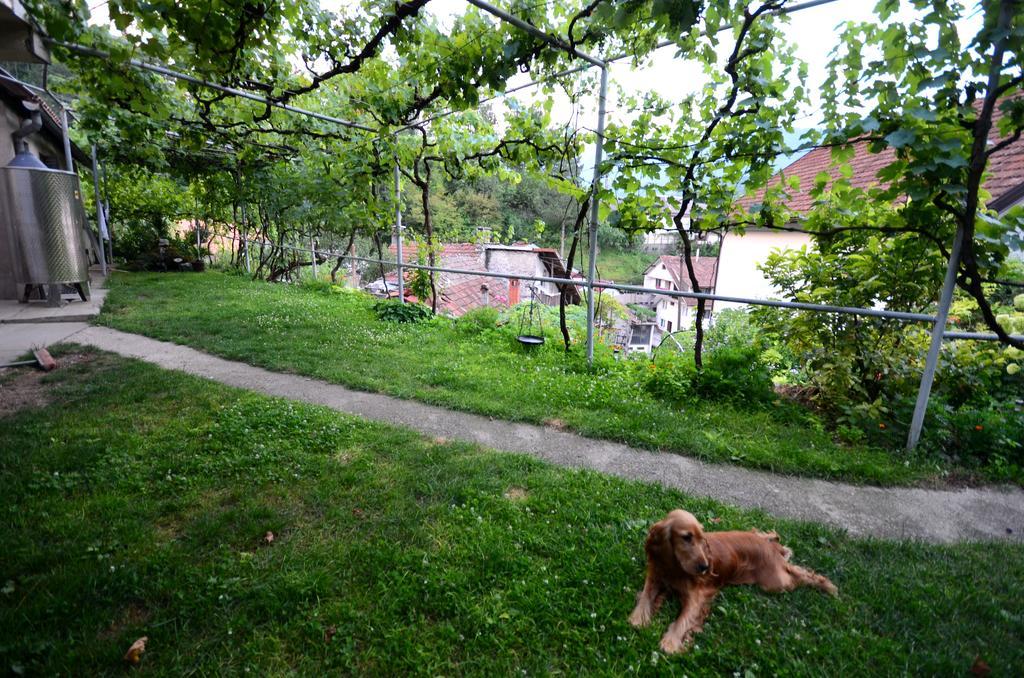 Guest House Konjic Zewnętrze zdjęcie